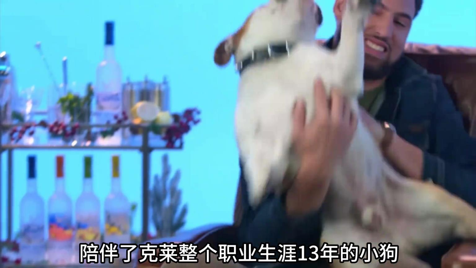 陪伴克萊13年的小狗去世了，不敢相信克萊得多么傷心